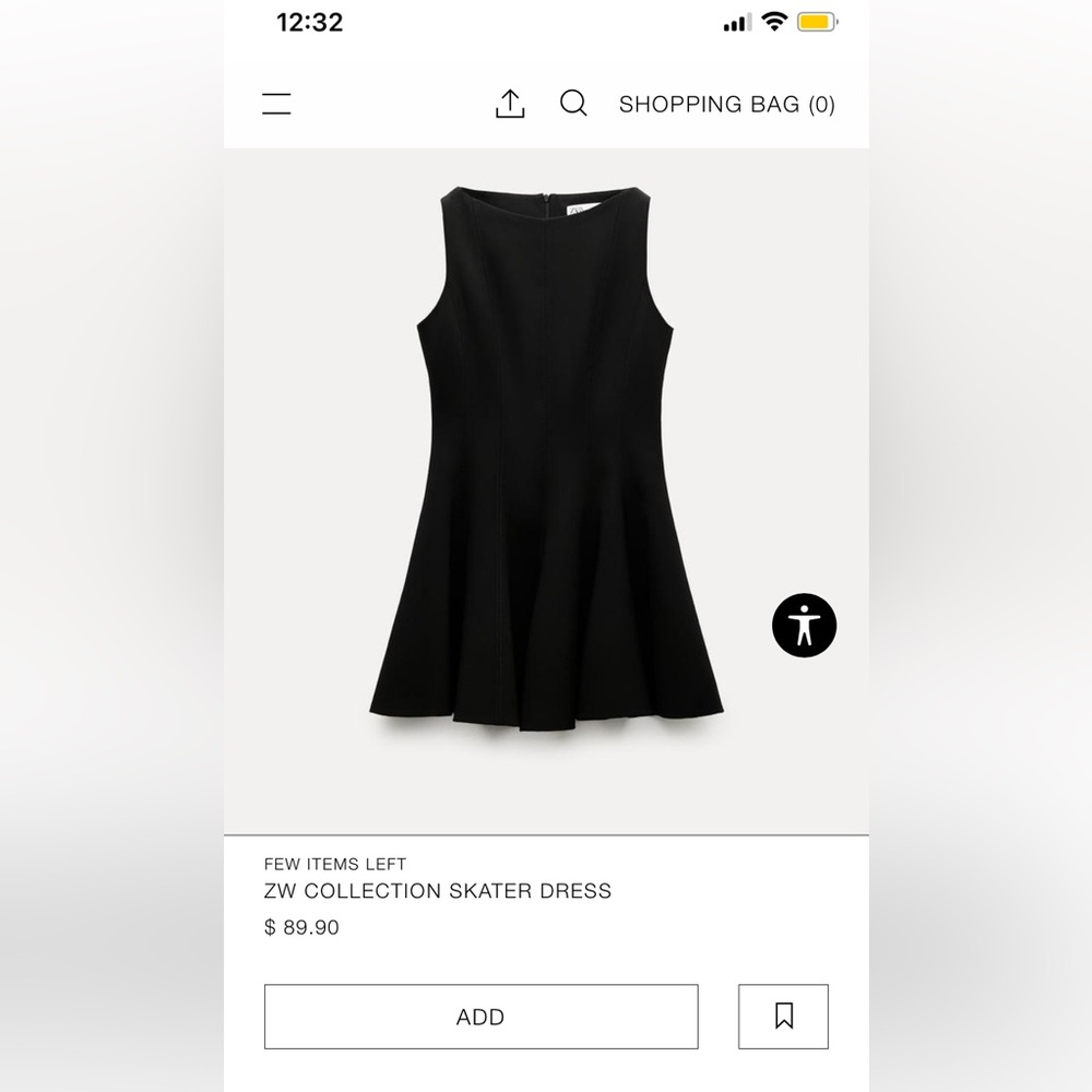 Zara Skater Dress